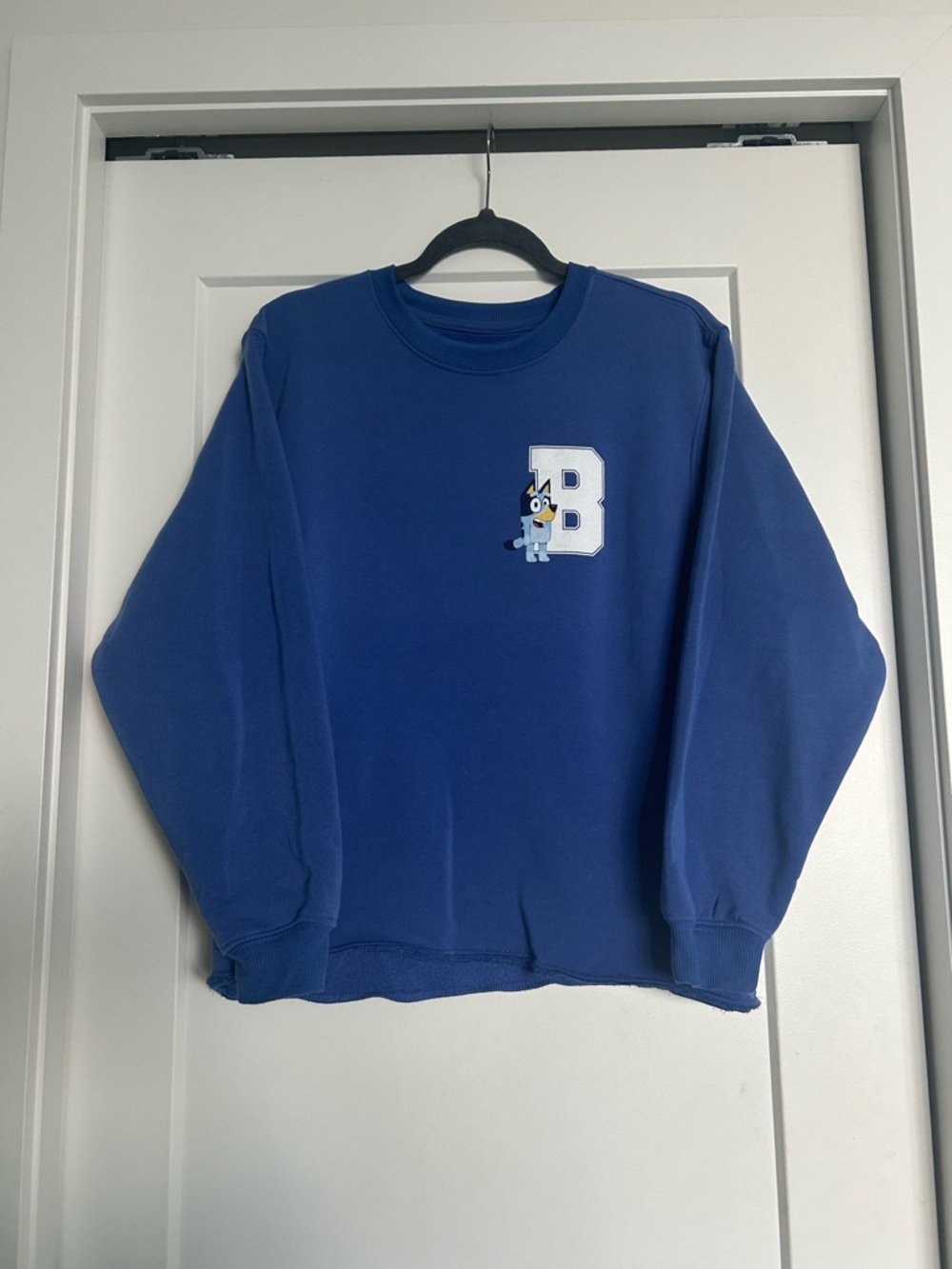Blue Crewneck Sweatshirt Bluey